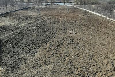 Teren la Lac intravilan construcții Corbeanca Ilfov - 5