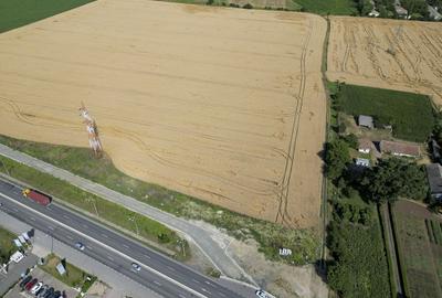 Teren 7653mp cu PUZ aprobat DN Arad Oradea - 5