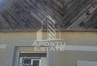 Casa individuala in Cruceni ,la granita cu Serbia - 3