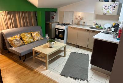 Garsonieră spațioasă de vânzare – Strada Cremenita/ Mansarda - 1