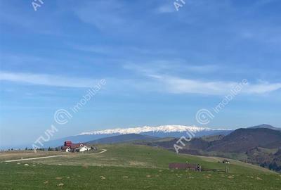 Teren intravilan de 3000 mp cu utiltati si PUZ in Paltinis Judet Sibiu - 1