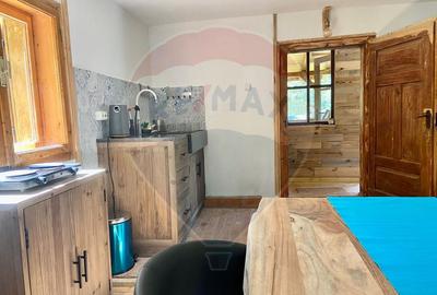 Casă de vacanță deosebită cu ciubăr si saună - natura si relaxare - 38