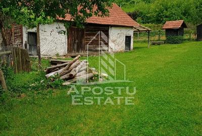 Casa batraneasca de vanzare, 4 camere, in Hunedoara, sat Micanesti - 28