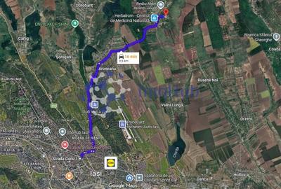 Teren intravilan 10.000 mp în Rediu Aldei (Aroneanu) - 3