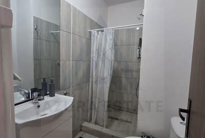 Studio la curte utilat complet cu terasa  zona Lazaret - 12