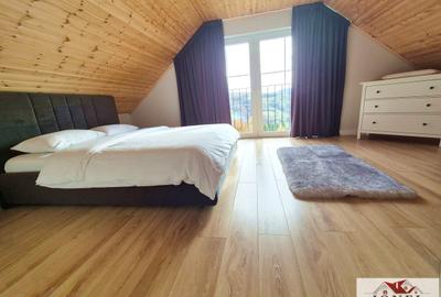 Casa in Muntii Apuseni cu 114.144 mp teren - 6