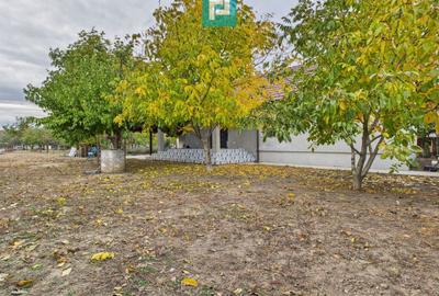 Casă nouă în Macea - 15