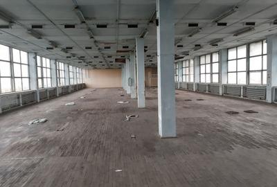 Pantelimon - birouri, depozitare sau industrie usoara - 700-1400 mp - 4