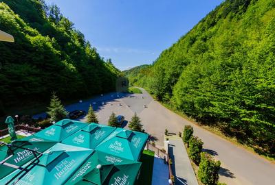 REFUGIU MONTAN CU FARMEC AUTENTIC - DE VANZARE - 18