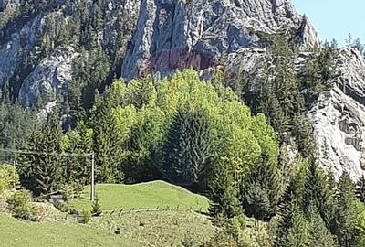 Teren 8,619mp Bicaz-Chei / Strada Sugaului