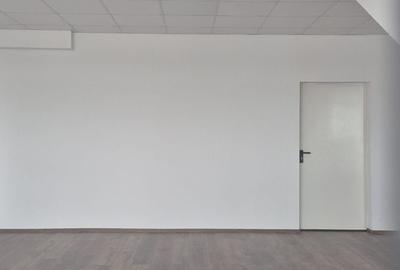 Hala industriala de inchiriere Soseaua de centrua Chitila - 20