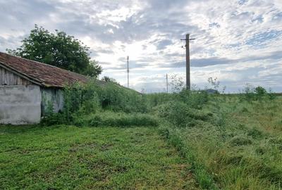 Oportunitate investiție energie verde | 10.000 mp - 10