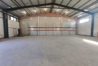 Hala Mosnita Noua 300 mp/5 euro+ TVA - 2