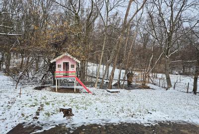 Moșia cu casa în vârf de deal, Scorțeni - Prahova, comision 0% - 12