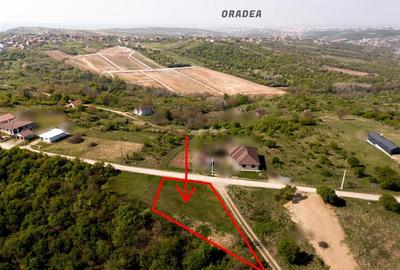 RECO Teren intravilan, dublu front, Saldabagiu de Munte - 1