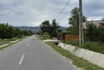 Vând 5000m pătrați teren,intravilan și extravilan. - 1