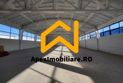 Hala Industriala Xenia – 1800 mp, Acces TIR, Parcare 50 Auto - 1