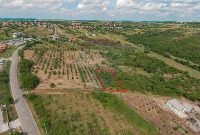 Teren intravilan 1,163mp de vânzare în Săldabagiu De Munte - 3