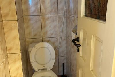 Apartament în vilă - 21