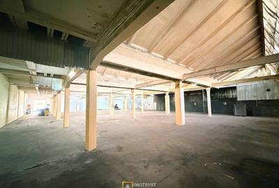 Hală industrială de închiriat în Arad – 1.150 mp, pret redus - 3
