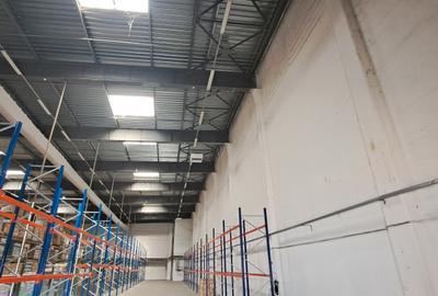 Centura Odai, hala/depozit 465 mp - 1