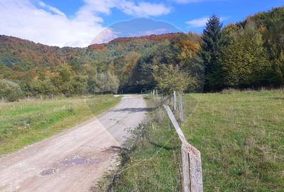Teren extravilan Rasnov , Glajerie-Str Poiana velicanului, 1100mp - 2