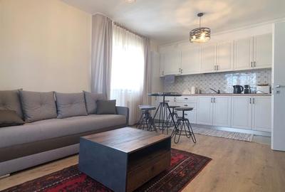 Parcul Carol, bloc nou, apartament complet mobilat si utilat - 1
