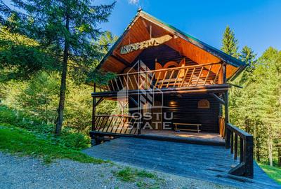 Pensiune, casa de vacanta, 6 camere, statiunea Rausor din Hunedoara - 7