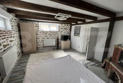 Apartament de 3 camere, zona Independentei, oportunitate investitie - 3