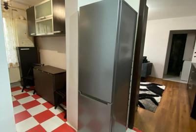 Apartament 2 camere parter mobilat si utilat,centrala, Alecu Russo - 4