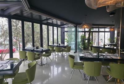 Vanzare spatiu comercial/restaurant/afacere la cheie  Nordului - Herastrau Parc, - 1