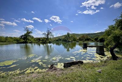Domeniu de vânzare in Urlați Prahova - 2