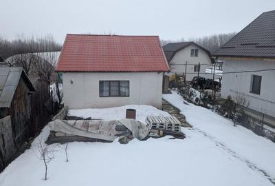 Casă de vânzare – Parter, Buftea, Centru! 25 de min de Bucuresti - 7
