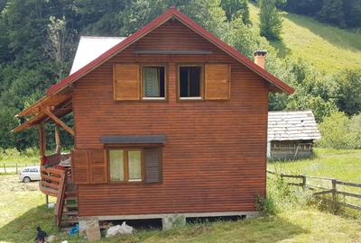 Casă de vacanță de vânzare în Feneșasa, Jud Alba | 125 mp utili | Teren 3.220 m - 8