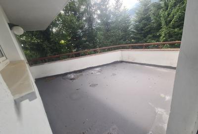 Complex turistic de vanzare  - Zona Poiana Tapului - 35