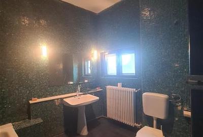 Plantelor, vila splendida cu 6 apartamente, curte, terase, garaj. - 9