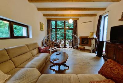 Casa deosebita in Faget - 9
