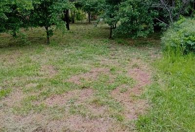 Casa individuala,  teren 1000mp  cu centrala termica pe gaz - 14