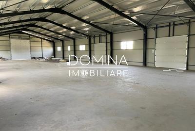 Inchiriere hala industriala NOUĂ situata  in Balesti, la 5 km de Tg. Jiu - 2