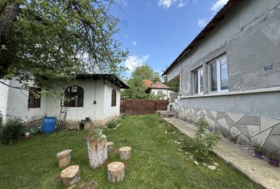 2 Case + teren 1390 mp langa parcul central Provita de Sus - 36