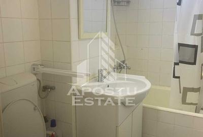 Apartament 3 camere, de inchiriat,zona Take Ionescu-Timisoara - 11