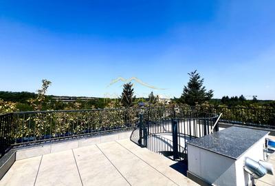 Apartament de Inchiriat | Iancu Nicolae | 154 mp | Terasa 150 mp | - 18