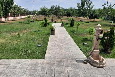 FARA COMISION casa 4 camere 2 bucatarii 2 puturi beci livada 1500mp SAU 3300mp - 41