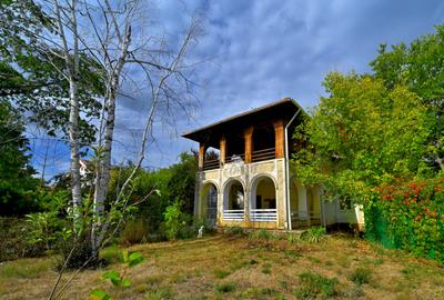 Vanzare vila 6 camere 316mp + garaj + teren 1490mp Centru Snagov ILFOV - 1