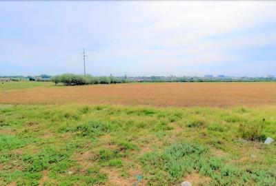 OCAZIE ! EFORIE NORD, ULTIMELE 3 LOTURI, 517 MP. 19.500 EURO IDEAL INVESTITIE ! - 11