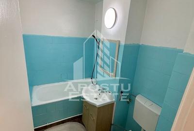 Apartament 3 camere, pet-friendly, de inchiriat, Dambovita, Timisoara - 10