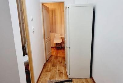 Dristor - Aleea Moreni - Garsoniera mobilata , bloc mixt - 6