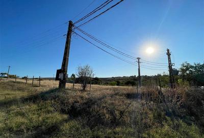 Teren intravilan de vanzare in localitatea Nufaru - 3