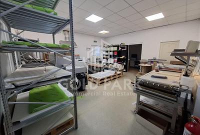 Spatiu Industrial/Depozit - Zona Dambul Rotund - Birouri + Parcari - 6