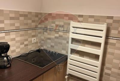Inchiriere aparament PREMIUM 3 camere OFFICE/COMERCIAL Baneasa - 23